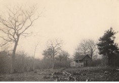 Spring 1923