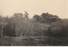 Spring 1923