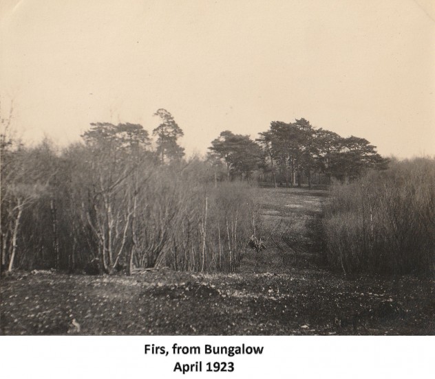 Spring 1923