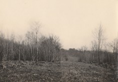 Spring 1923