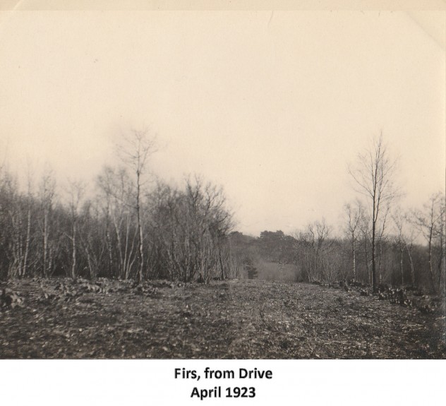 Spring 1923