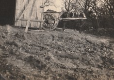 Spring 1923