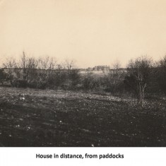 Spring 1923