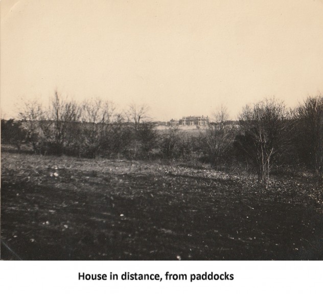 Spring 1923