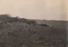 Rose garden and views of house, June 1923