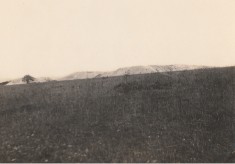 Excavation 1919 - 1923
