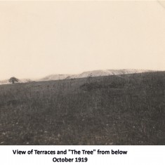 Excavation 1919 - 1923