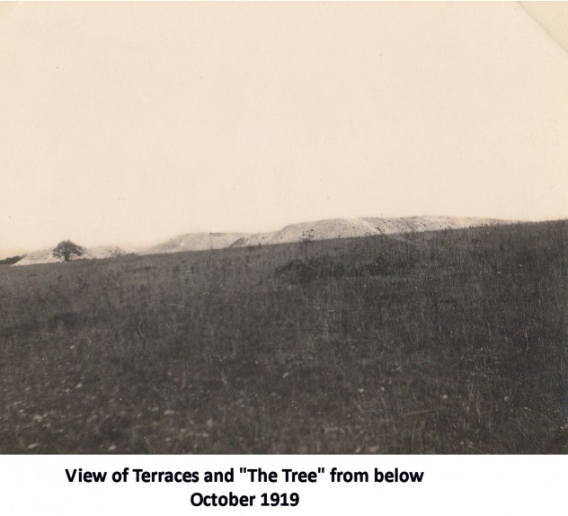 Excavation 1919 - 1923