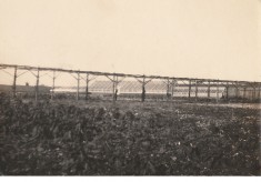 Estate buildings, 1924