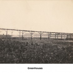 Estate buildings, 1924