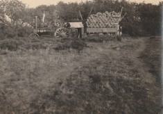 Excavation 1919 - 1923