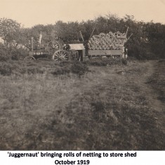 Excavation 1919 - 1923