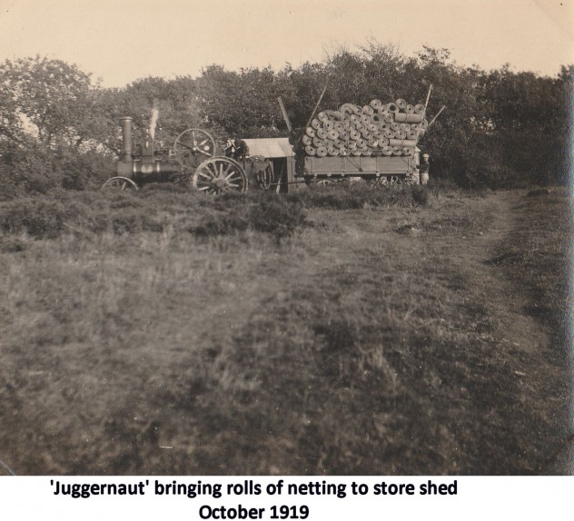 Excavation 1919 - 1923