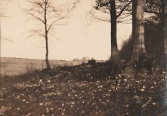Completion 1925