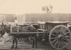Foundation work, 1921