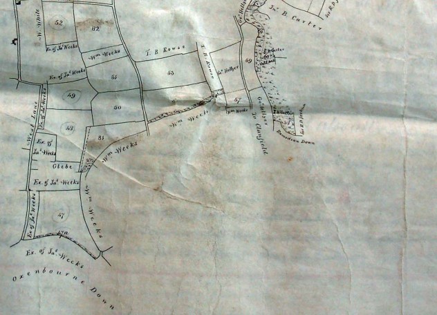Map around Oxenbourne Down, allottees include  William Weeks, Executors of James Weeks, George Hellyer, T.B.Rowse.