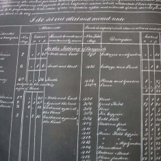 I do set  out the allotment award unto ... lands in the Tithing of Langrish  ... William Albery, Petersfield, George Berry, Henry Holder, Sir William George Hylton Barnard Joliffe, Horsham House, Reigate.