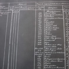 Chart of Allotments to Bonham Carter