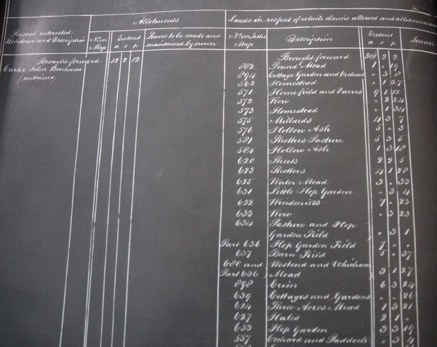 Chart of Allotments to Bonham Carter