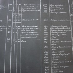 Allotment to Sir William Hylton Joliffe