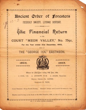 Financial Return, 1893, of the Court 'Meon Valley' of the Ancient Order of Foresters Friendly Society