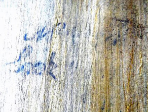 Jim's grandfather John  Cook inscribed his name in the shepherd's hut