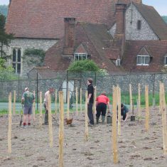 Planting the vines, May 2006