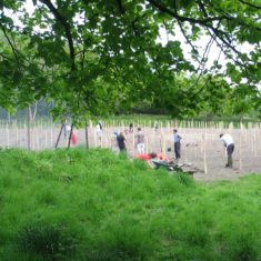 Planting the vines May 2006 | Michael Blakstad
