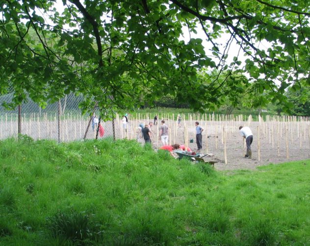 Planting the vines May 2006 | Michael Blakstad