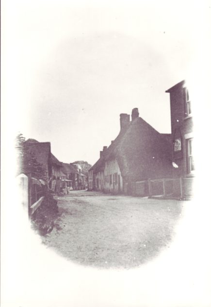 This photo was taken from outside what is now East Meon Stores and was then Aburrow's wheelwright workshop. The Institute can be seen on the right,, then Barnards Corner. On the left, Glenthorne House in the distance.