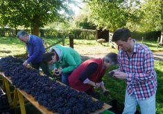 Court House Vineyard