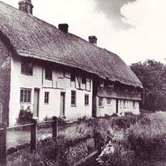 Hockley & Brook Cottages by narrow river and overgrown banks, probably 1930s