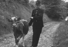 PC 1949