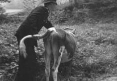 PC 1949