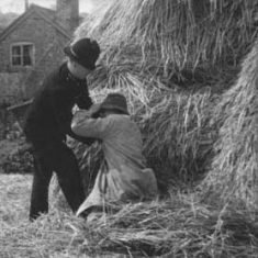 PC with tramp in haystack