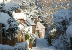 Views of East Meon