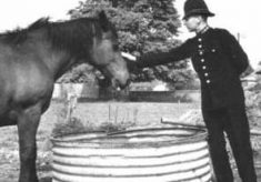 PC 1949