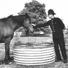 P>C Dennis Thorne with horse