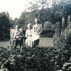 Woodfields Family in garden Woodfield family in garden