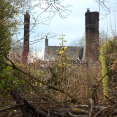 The remains of the second thatch fire at Hockley & Brook Cottages, March 2013. | Michael Blakstad