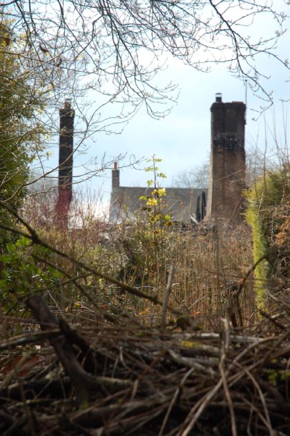 The remains of the second thatch fire at Hockley & Brook Cottages, March 2013. | Michael Blakstad