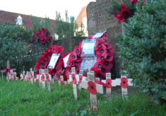 Poppies for the fallen