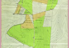 Maps, contemporary