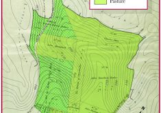 Maps, contemporary