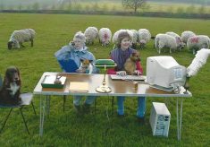 Country Fair 2001 - 2010