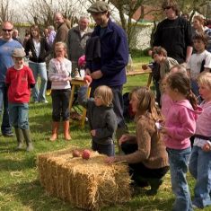 Country Fair 1993 - 2000