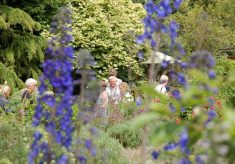 Gardens