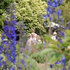 Visitors to the Tudor House garden