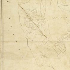 East Meon 46M68-PD10007 Hen wood and Court Farm West of EM Section of East Meon Tithe Apportionment map 1852 Hen Wood and Court Farm West of EM