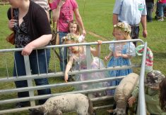 Country Fair 1993 - 2000